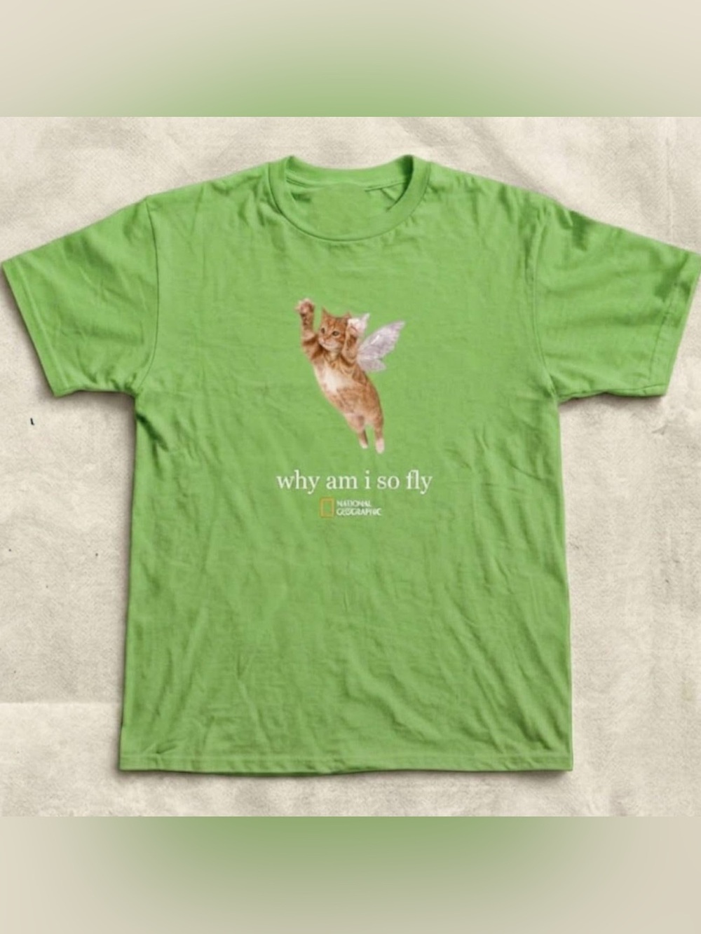 National Grographic Funny Flying Cat
